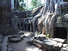 Ta Prohm